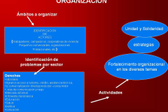 Organizacion